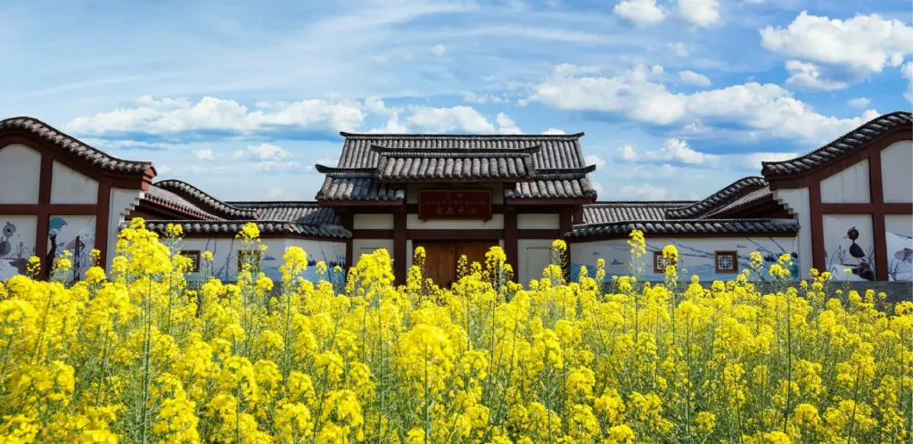 Spring scenery along the Yangtze River with blooming yellow flowers