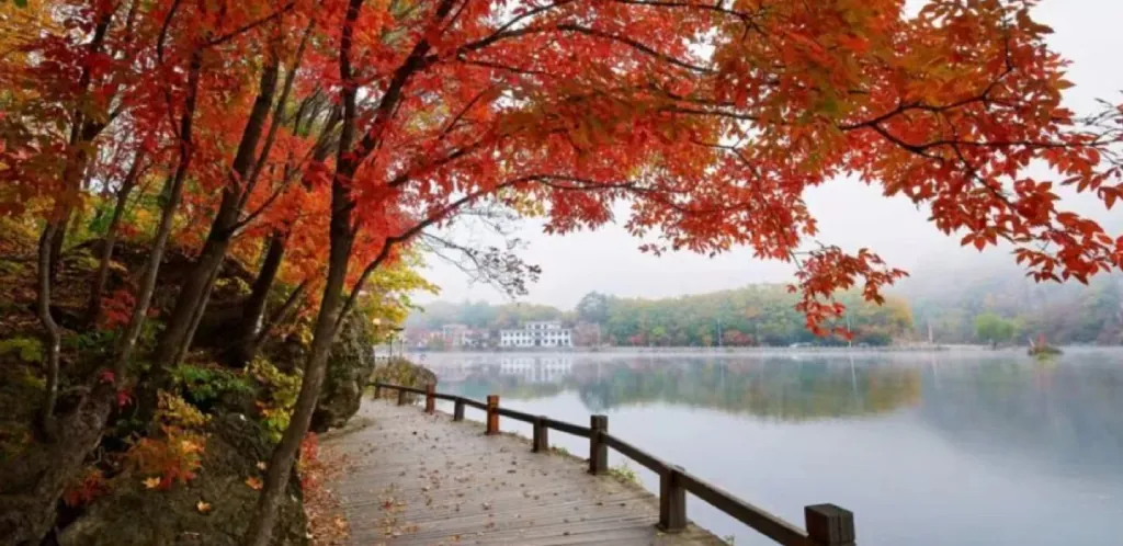 Lush summer scenery along the Yangtze River cruise route